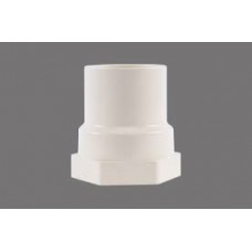 Parryware  UPVC 1'' Plastic Threaded Female Adapter, PUF011003