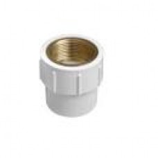 Parryware UPVC 1x1/2 Reducing Female Adapter Brass Threaded PUF029015
