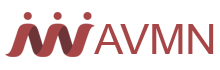 avmn enterprises